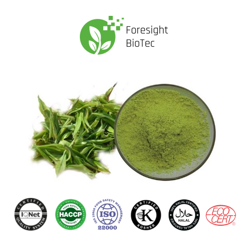 Organic Green Tea Powder