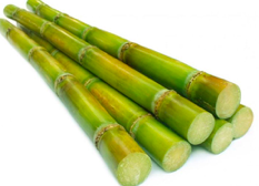 Sugar Cane Wax.png