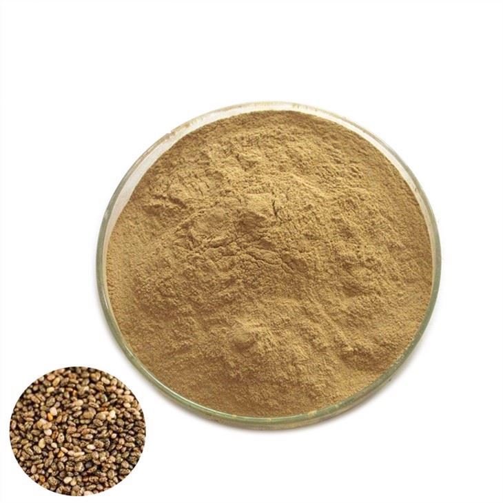 chia seed extract powder 2.jpg