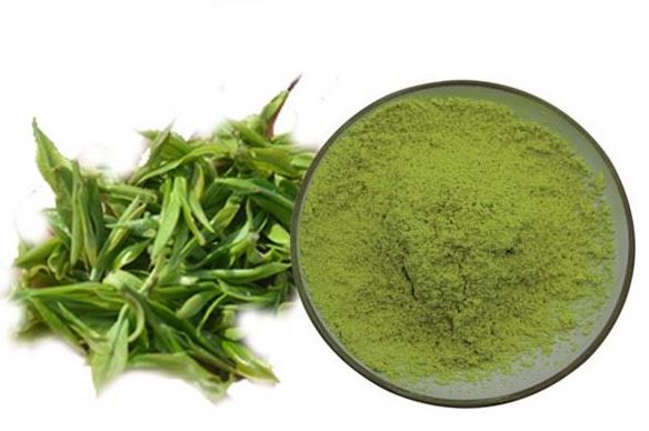 organic-matcha-green-tea-powder24028101919.jpg